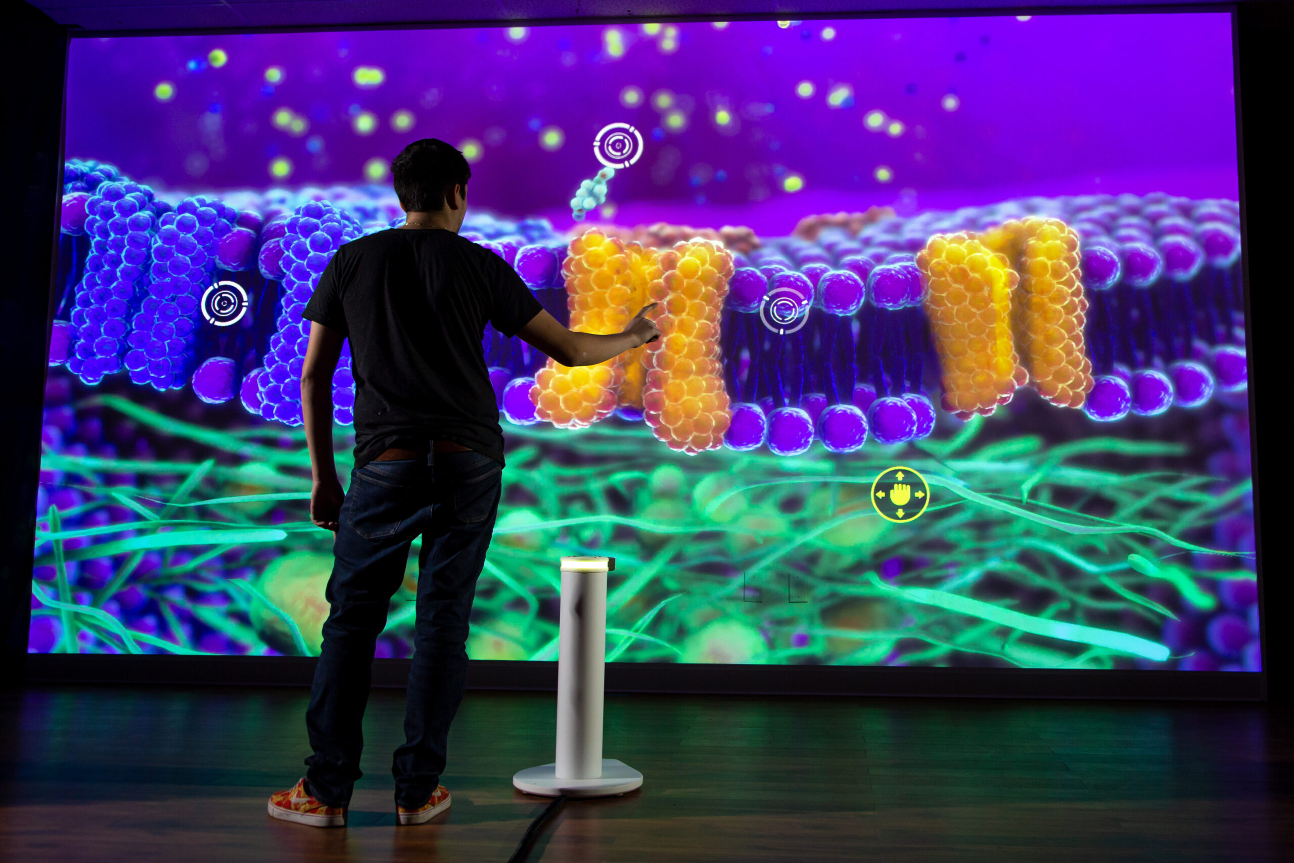 Interactive Experiences: Innovating User Engagement in Web Design